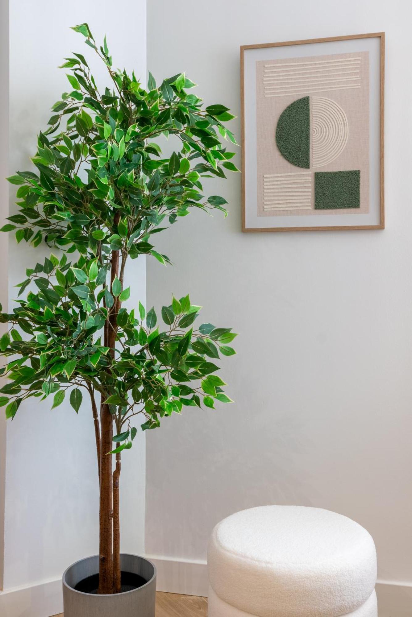 Diseno Y Comodidad En Bami Seville Ngoại thất bức ảnh